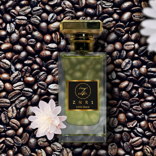 Alimentation électrique 225 V